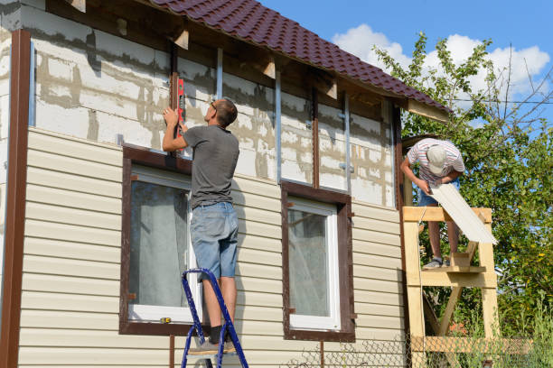 Best Insulated Siding Installation  in Monona, IA