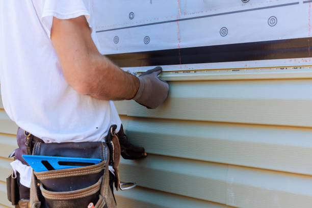 Best Custom Trim and Detailing for Siding  in Monona, IA